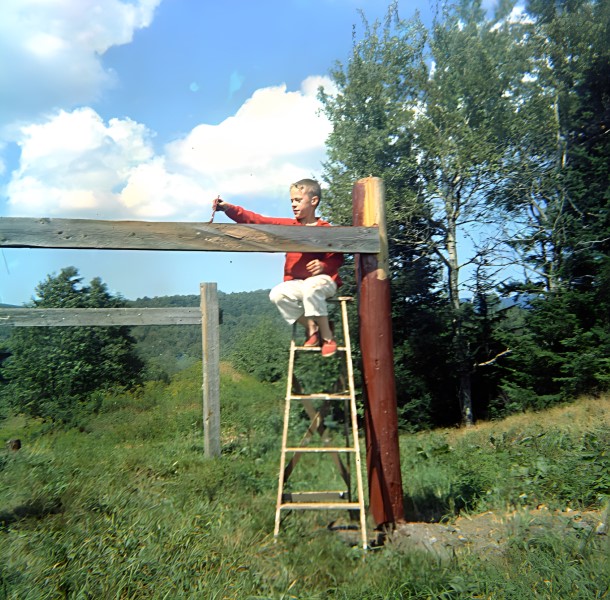 Me painting the clothesline: A bargain for four comic books!
