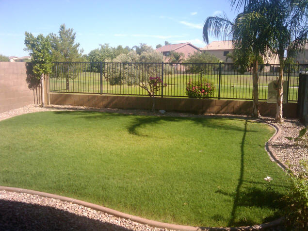 The Back Lawn