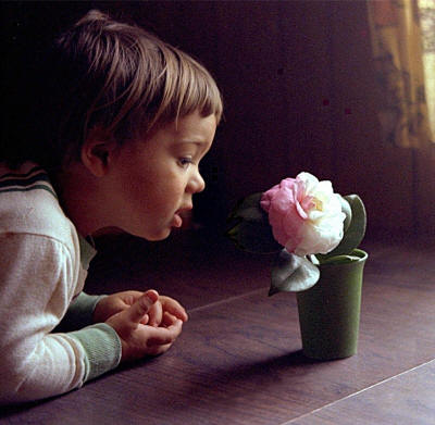 Johnny smelling a magnolia blossom: 1978 (2 years old)