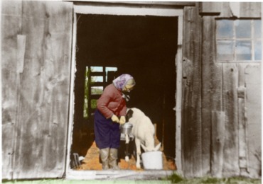 Mom and Nanny in the barn