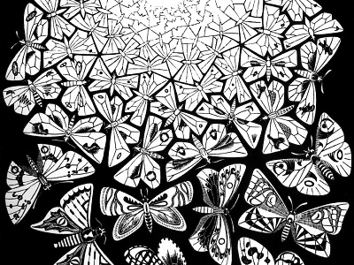 Escher Butterflies