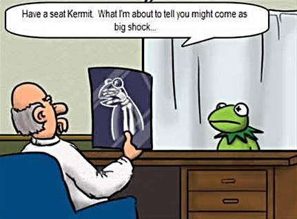 Kermit's X-ray.