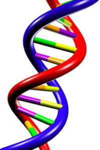 Representation of DNA, the building blocks of all life on Earth.<br> 