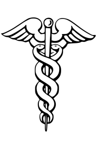 The modern symbol of medicine, derived from Enki's symbol.<br> 