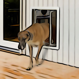 Doggy door