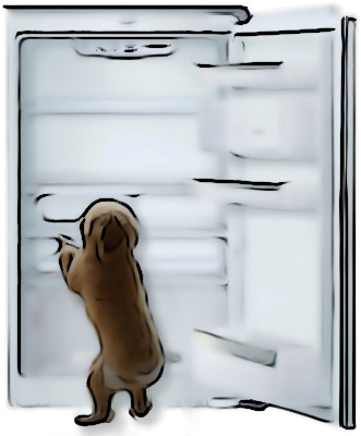 Dog at empty refrigerator.