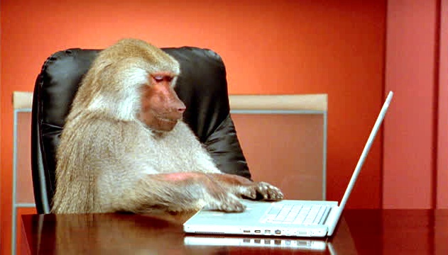 Baboon at computer.