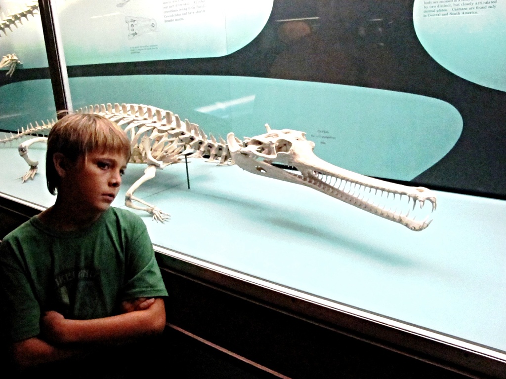 Zach and Indian Crocodile skeleton.
