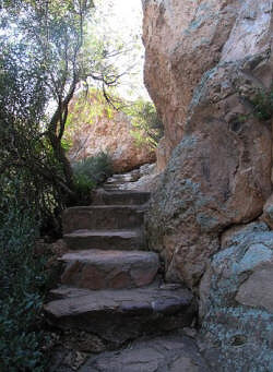 Steps cut into the High Trail.