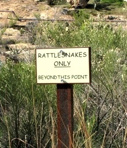 Rattlesnakes Only Beyond This Point