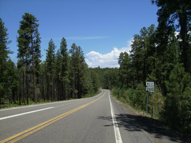 AZ 260 north of Payson: Doesn't look much like Arizona!