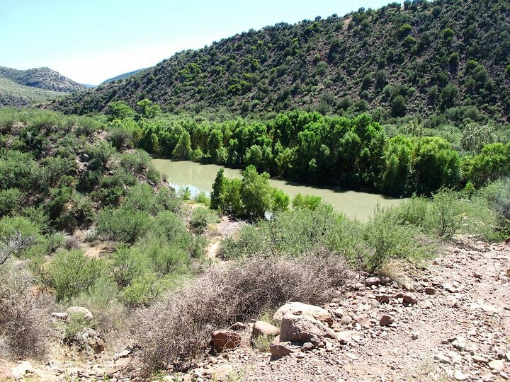 The cottonwoods lining the Verde River are deepest green.