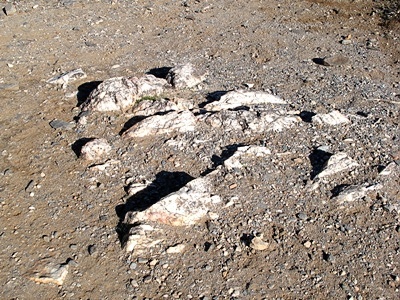 Marble outcropping at Piestewa Peak.