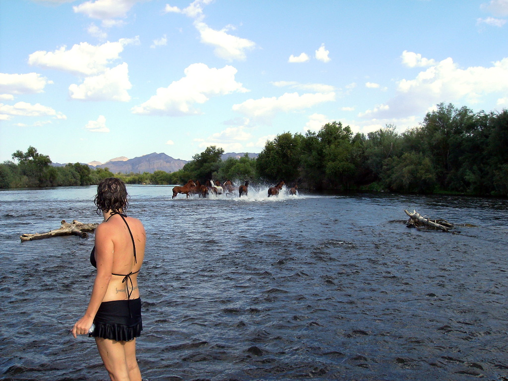 Wild horses didn't drag Jenny to the Salt River, but they helped her enjoy it more!