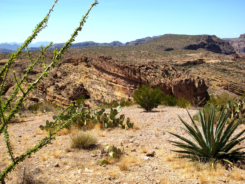 View from interpretive trail, AZ-88 east of Tortilla Flat.