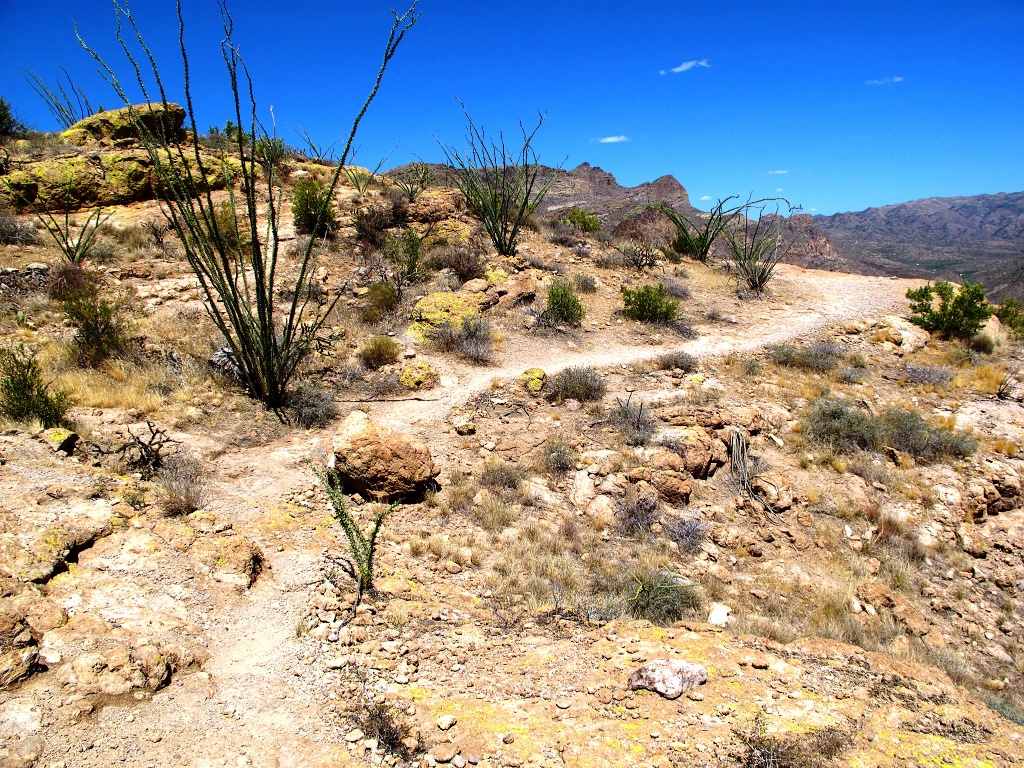 Side trail off AZ-88.