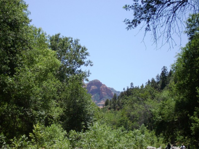 The red stone monuments of Sedona could be seen towering over the trees.