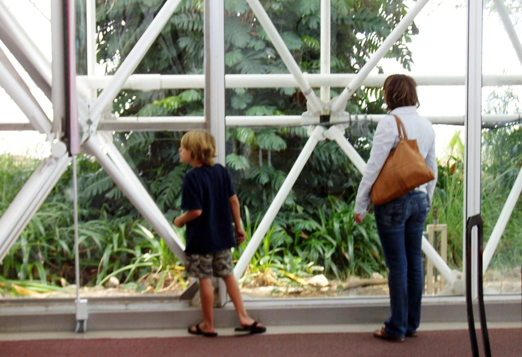 Mary and Zach inspect the rain forest in Biosphere 2.