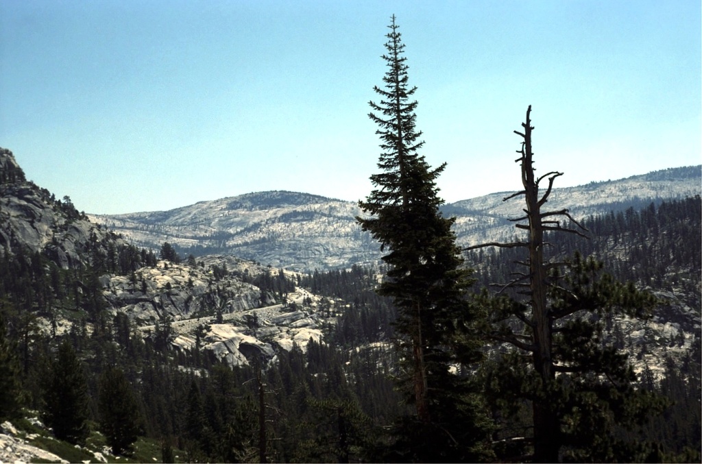 The foothills approaching Yosemite National Park.