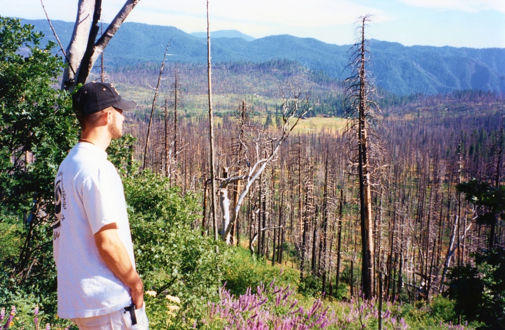 John overlooking the burnt forest in Yosemite.