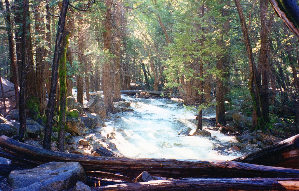 High water in Yosemite.