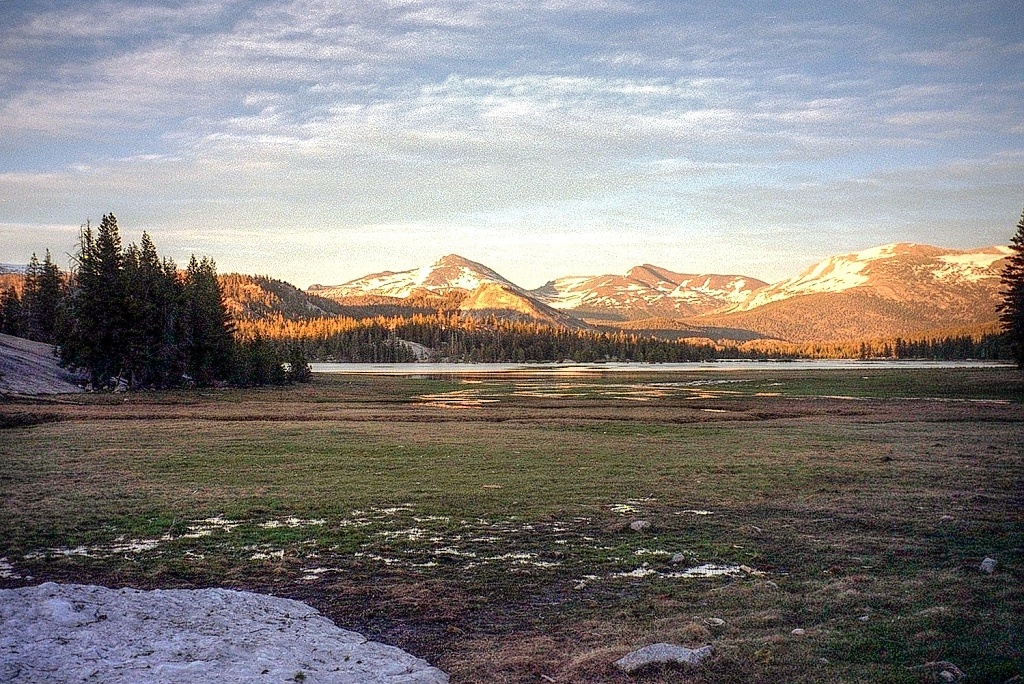 Tuolumn Meadows in Yosemite's high country.