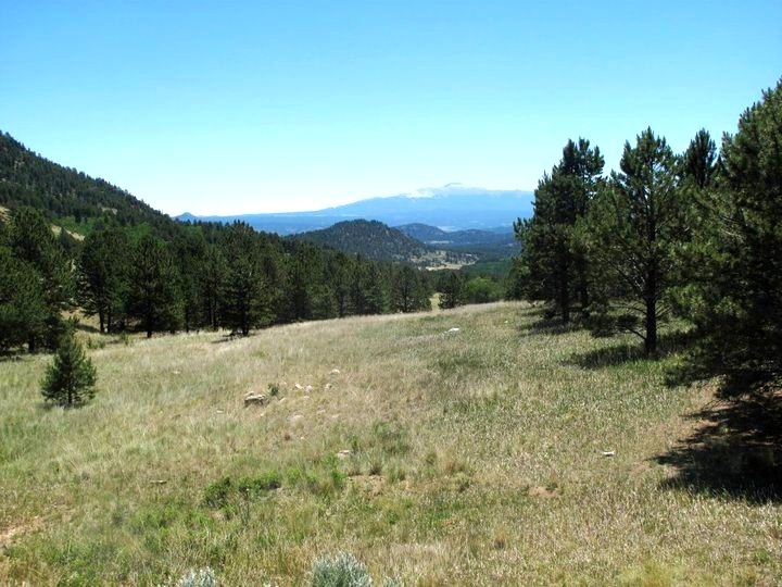 Pike's Peak as seen from the summit of Wilkerson Pass.