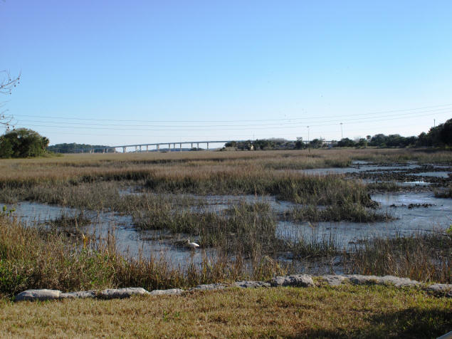 Salt marsh south of Maria Sanchez Lake