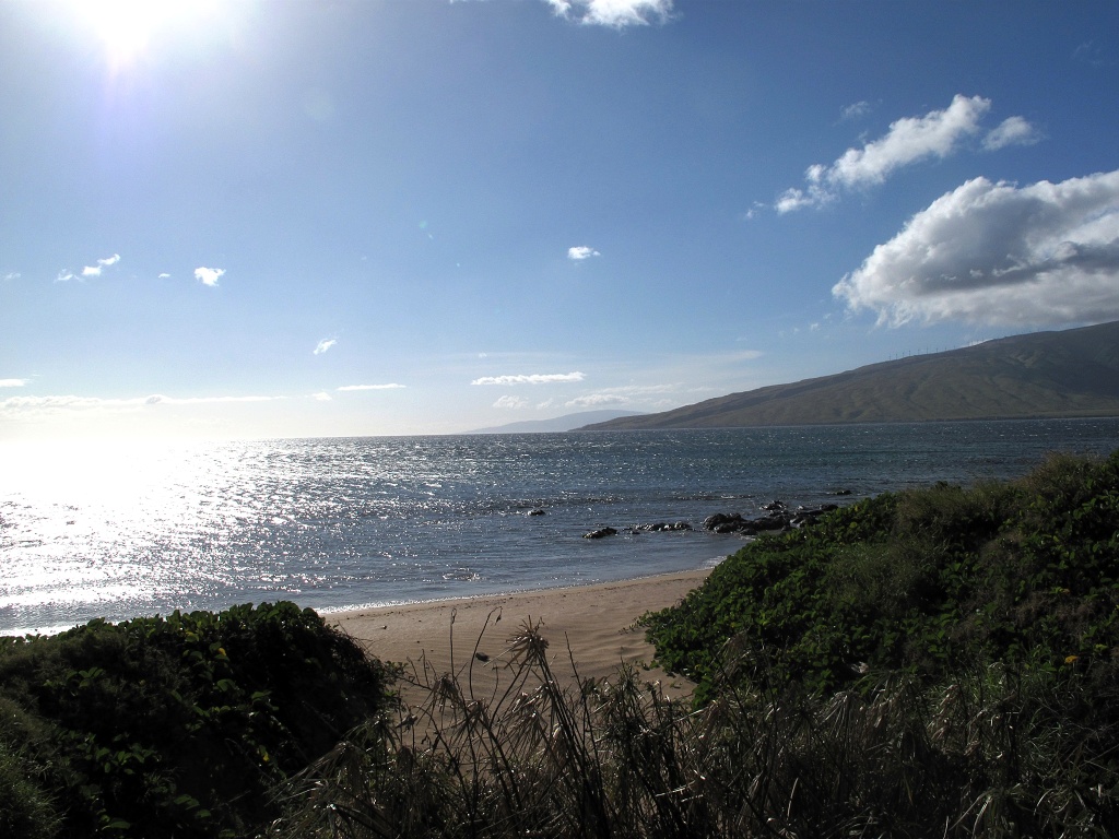 A 'typical' Hawaiian shorescape.