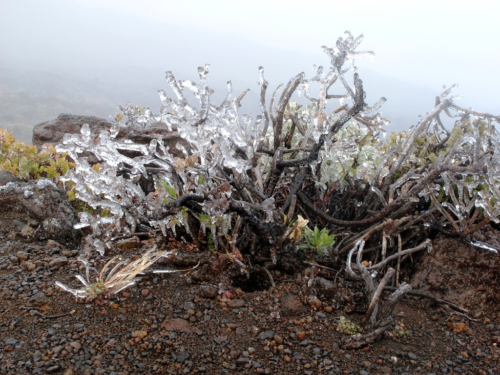 It was COLD on Haleakala's summit!