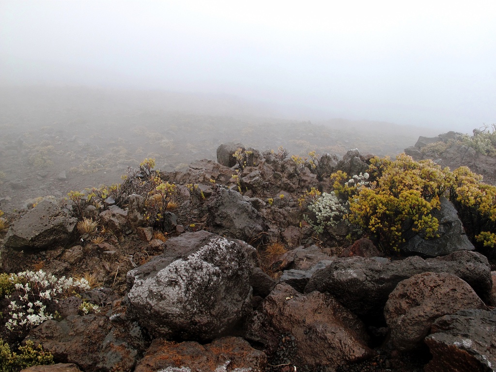 Ice crystals form on rocks on Haleakala's summit.