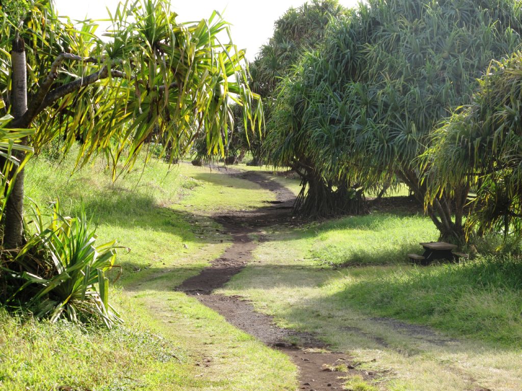 Trail to Seven Sacred Pools, Kipahulu.