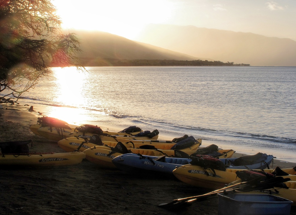 Kayaks lined up at sunrise.