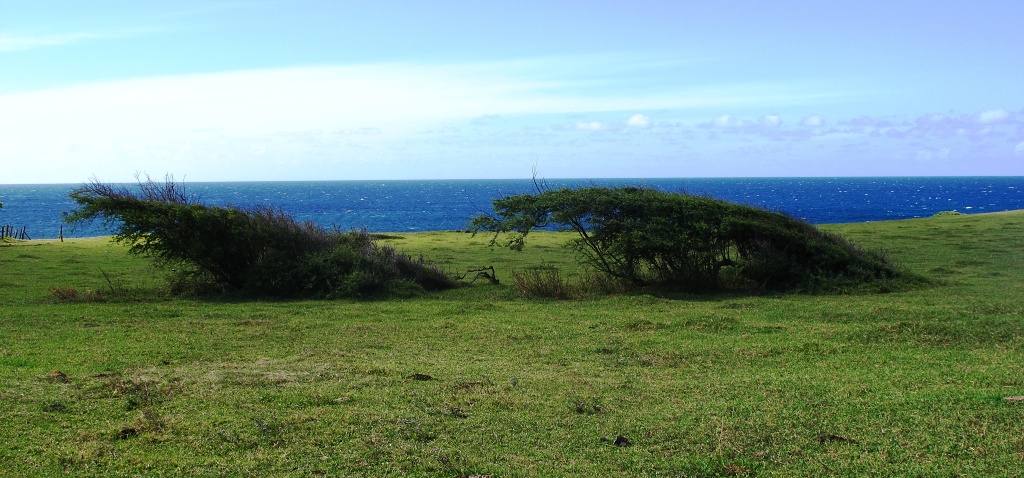 An ocean view on Maui.