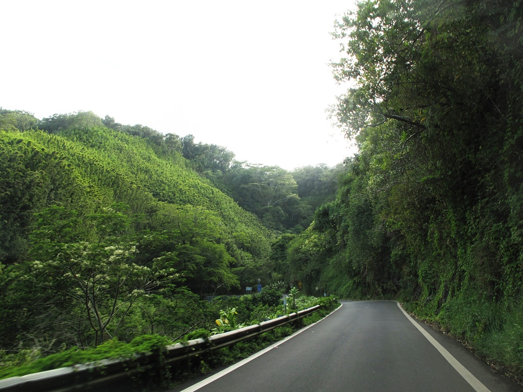 The Hana Highway gradually became more winding.
