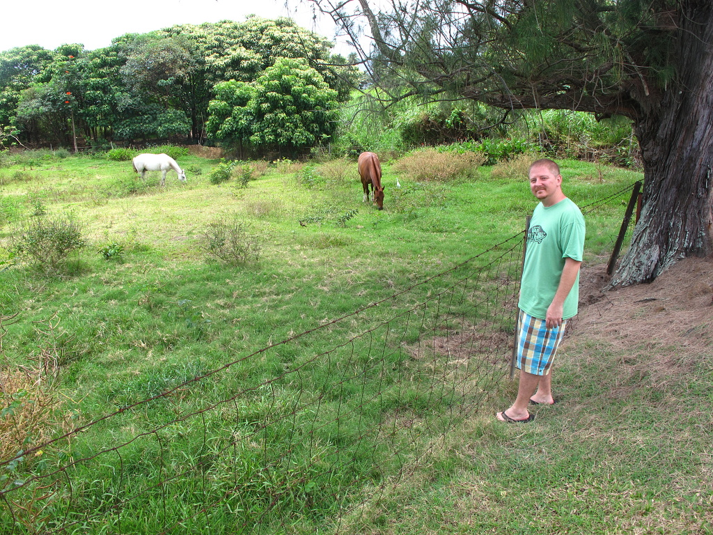 Jason with horses grazing in Hana.