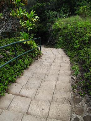 Steep steps in Iao Valley State Park.