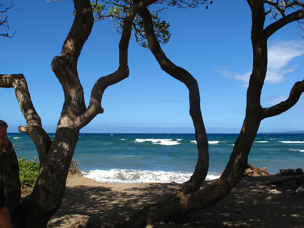 A picturesque beach on Maui's north shore.
