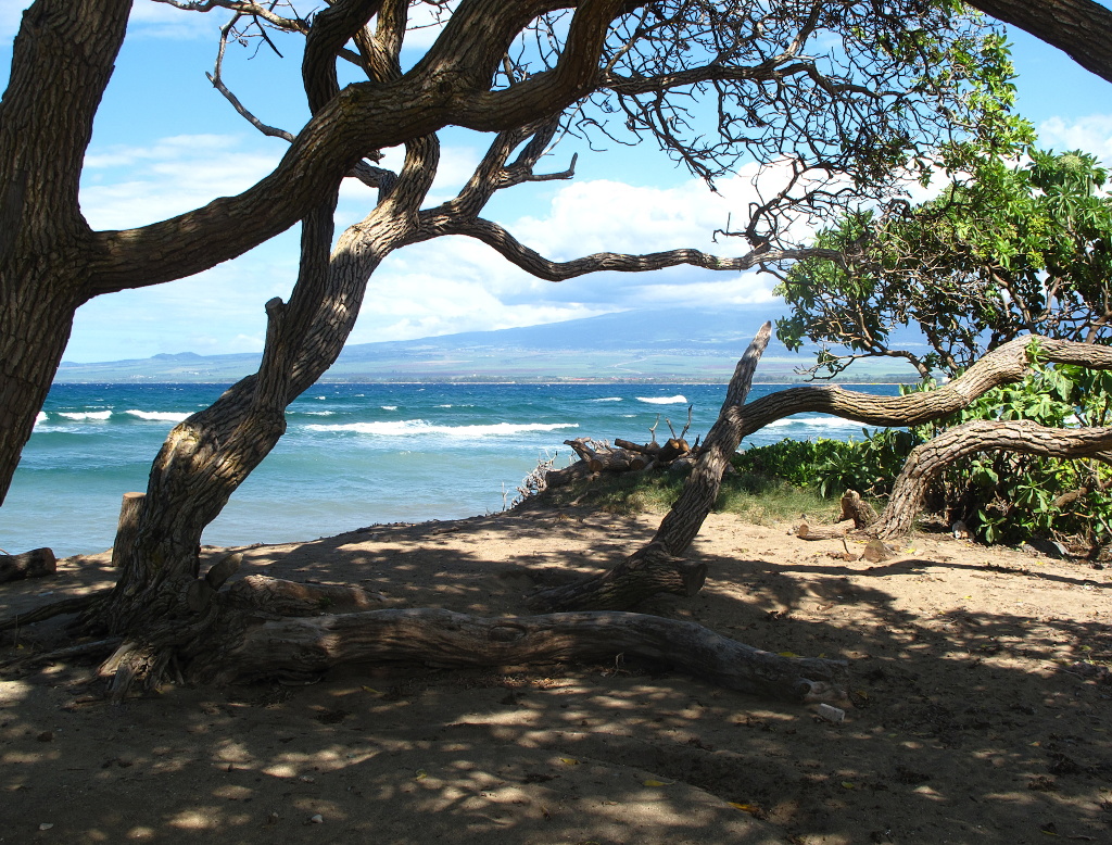A pristine beach view of Mount Haleakala.