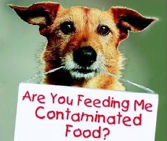Are you feeding your pet contaminated food?