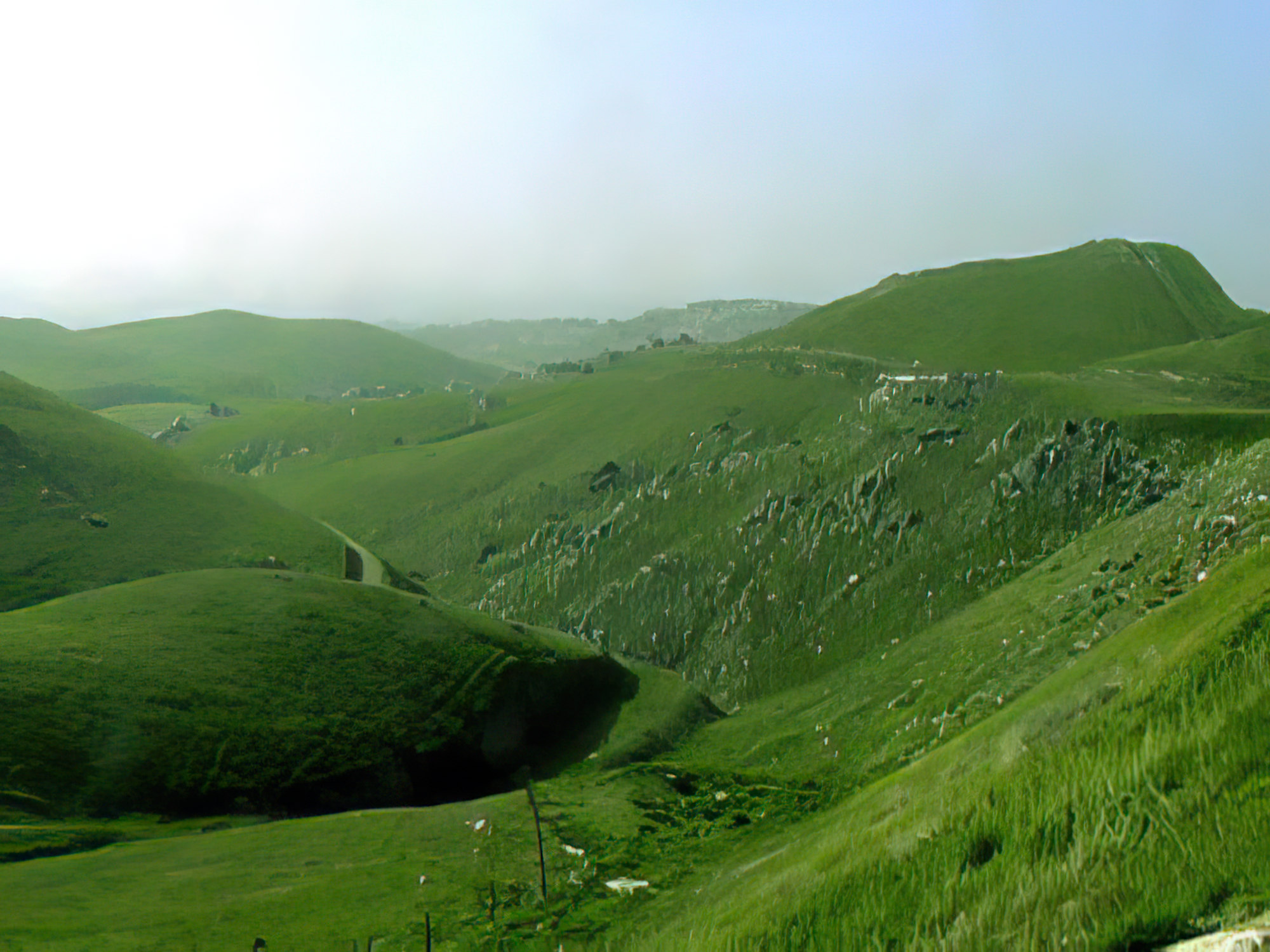 California's "golden hills" become green in January.